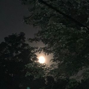 Meet your Posher, Kelli